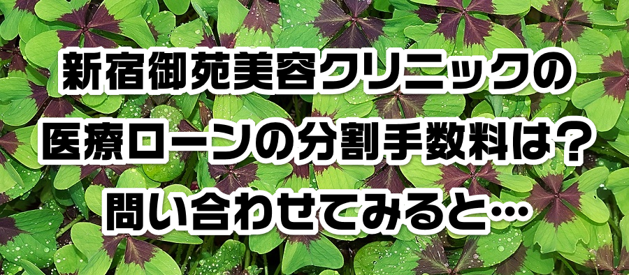 新宿御苑美容クリニックの医療ローンの分割手数料は?問い合わせてみると…